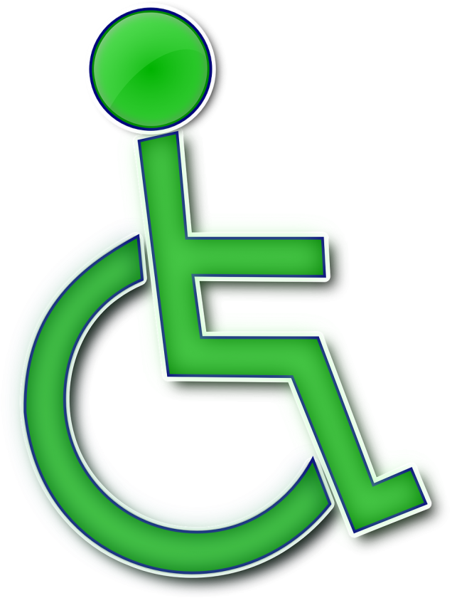 Baan De beoordeling instelling gehandicaptenzorg verstandelijk gehandicapten