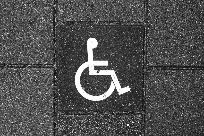 Hillenaar R instellingen gehandicaptenzorg verstandelijk gehandicapten kliniek review