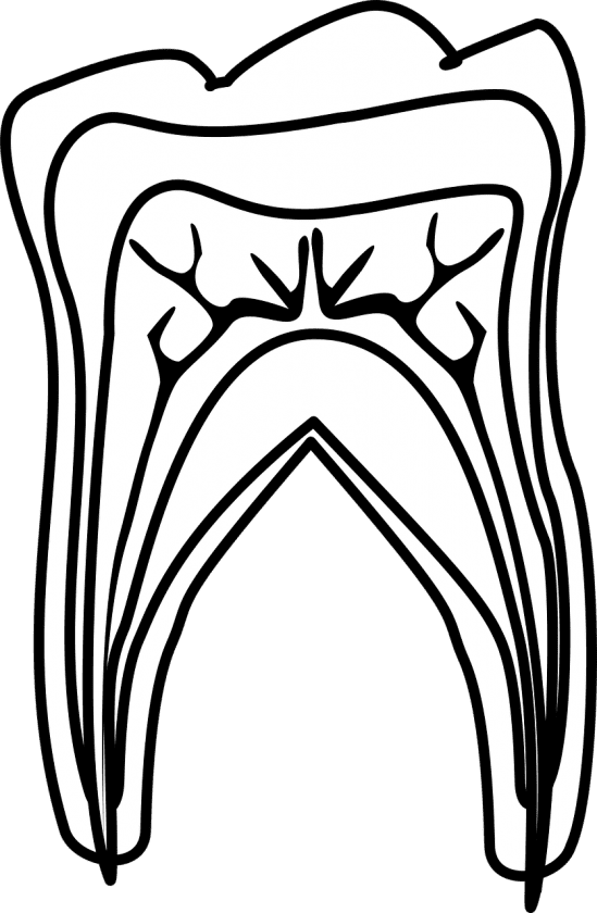 J.van der Heide tandarts angst tandarts