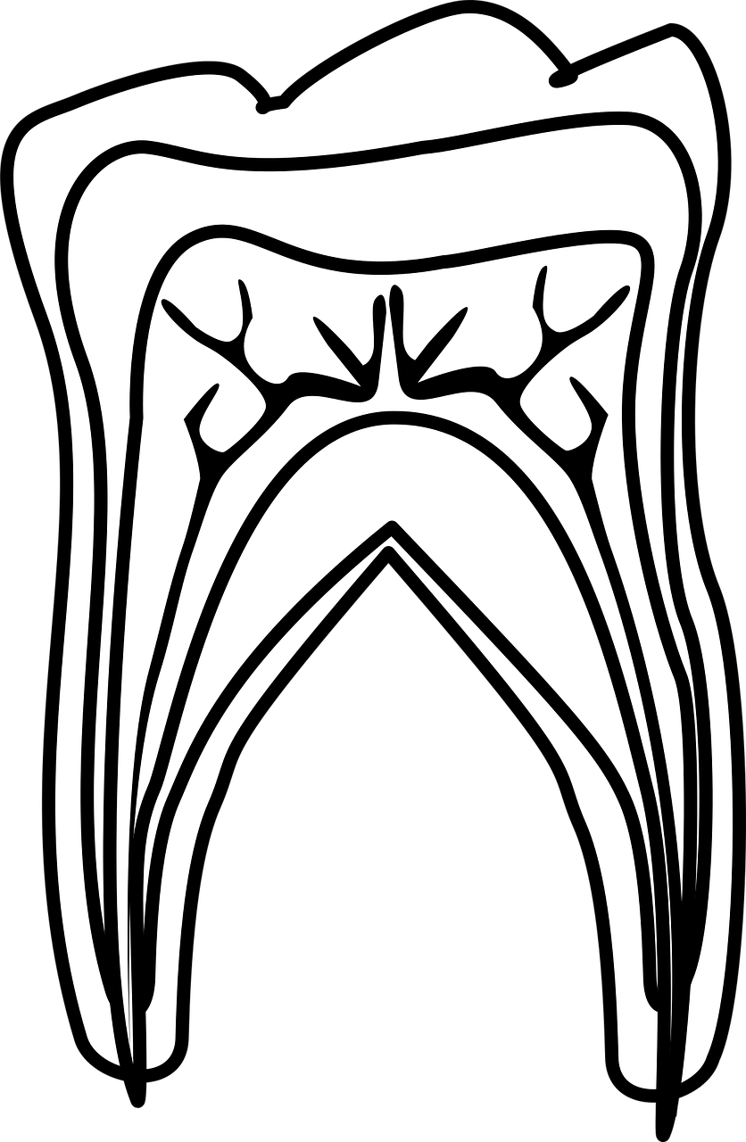 J.van der Heide tandarts angst tandarts