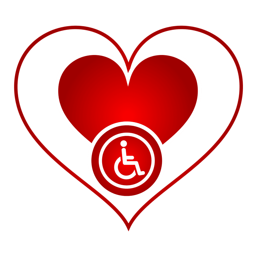 NELSON THE AUTIHORSE instellingen gehandicaptenzorg verstandelijk gehandicapten