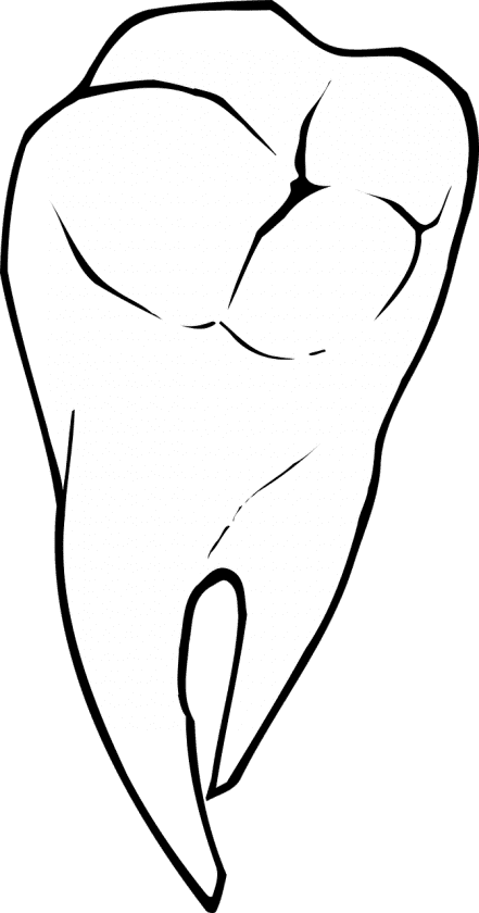 Vlam M B en J H G Poorterman Tandartsenpraktijk wanneer spoed tandarts