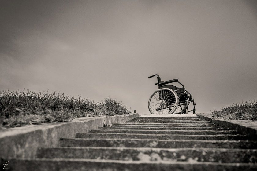 Zorghond Nederland instellingen gehandicaptenzorg verstandelijk gehandicapten