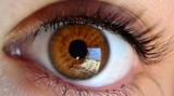 Optiek Ogenblikje Brillen & Contactlenzen opticien kliniek review