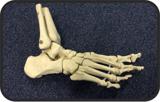 Praktijk voor Osteopathie A E Deunk ervaring osteopaat contactgegevens