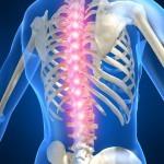 Osteopathie A B Beernink DO-MRO Praktijk kosten osteopaat