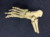 Praktijk voor Osteopathie A E Deunk osteopaat