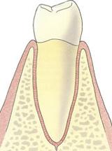 Tandprothetische Praktijk Molenrijn spoedhulp tandarts