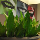 Tandheelkundig Centrum Dudok tandarts behandelstoel