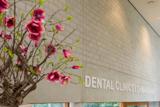Dental Clinics Doetinchem Lohmanlaan tandartspraktijk
