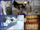 Tandartsenpraktijk Tandbewust tandartspraktijk